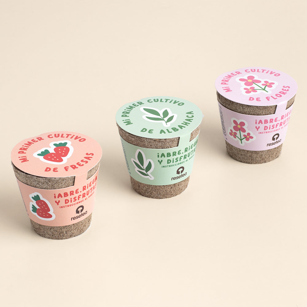 Mi Primer Cultivo De Fresa | Kit Educativo Stem Para Cultivar Fresas En Casa_3