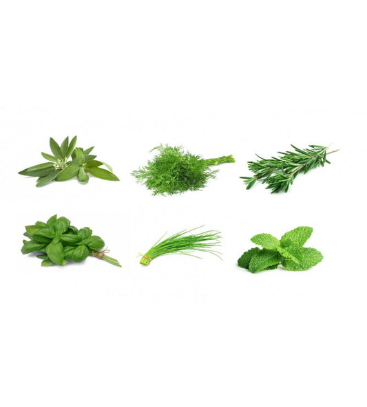 Pack Especias Frescas