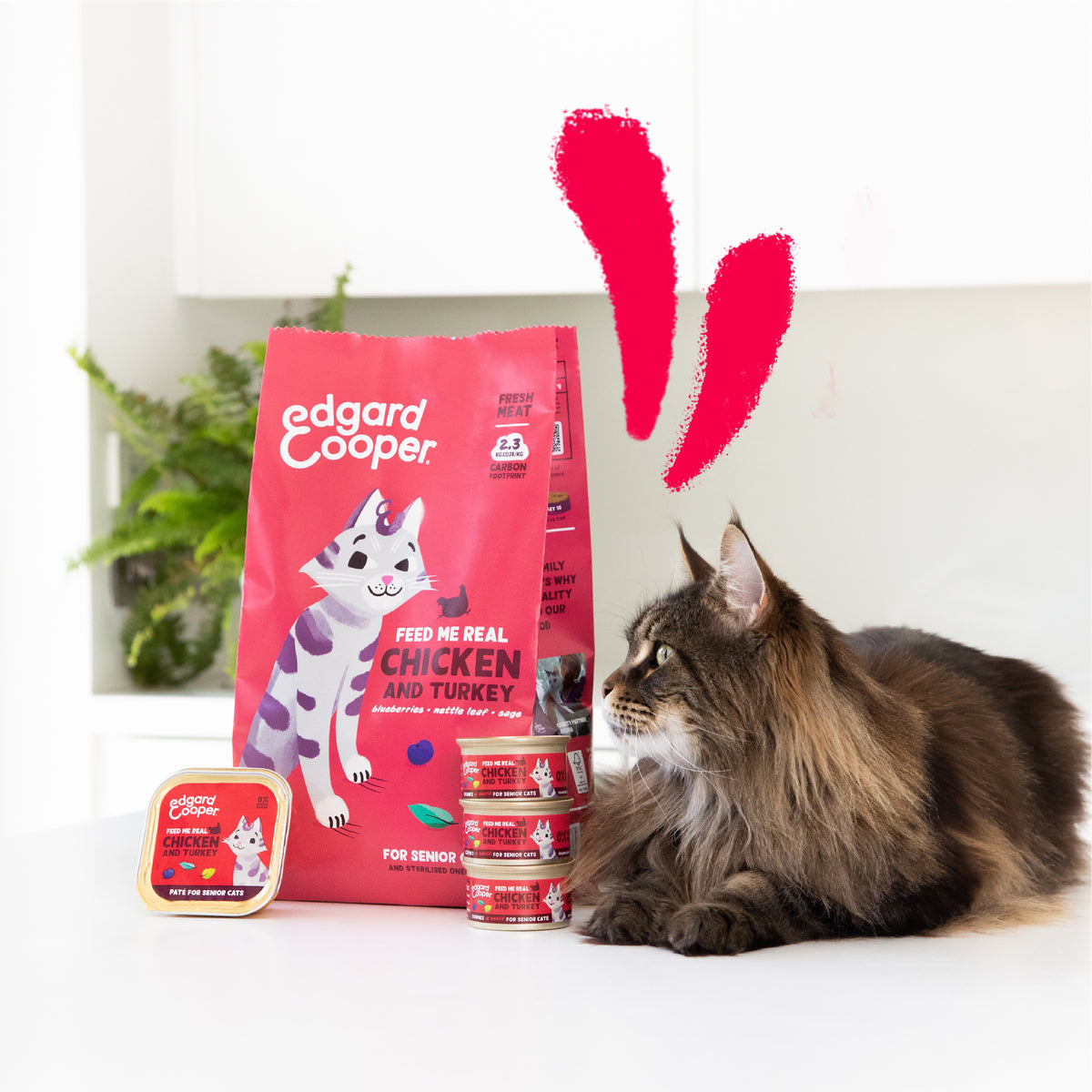 Paté de pollo y pavo para gato senior Edgard & Cooper 85 g