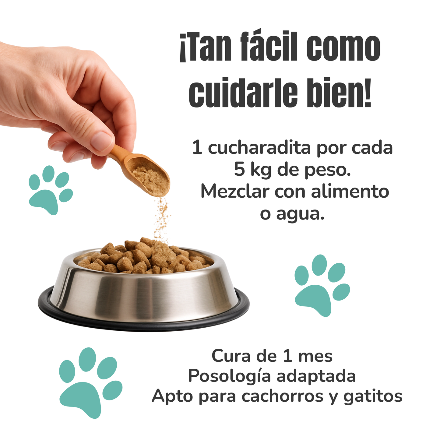 Suplemento natural para perros y gatos – Equilibrio Flora Intestinal Probióticos, Prebióticos y Postbióticos 100 g