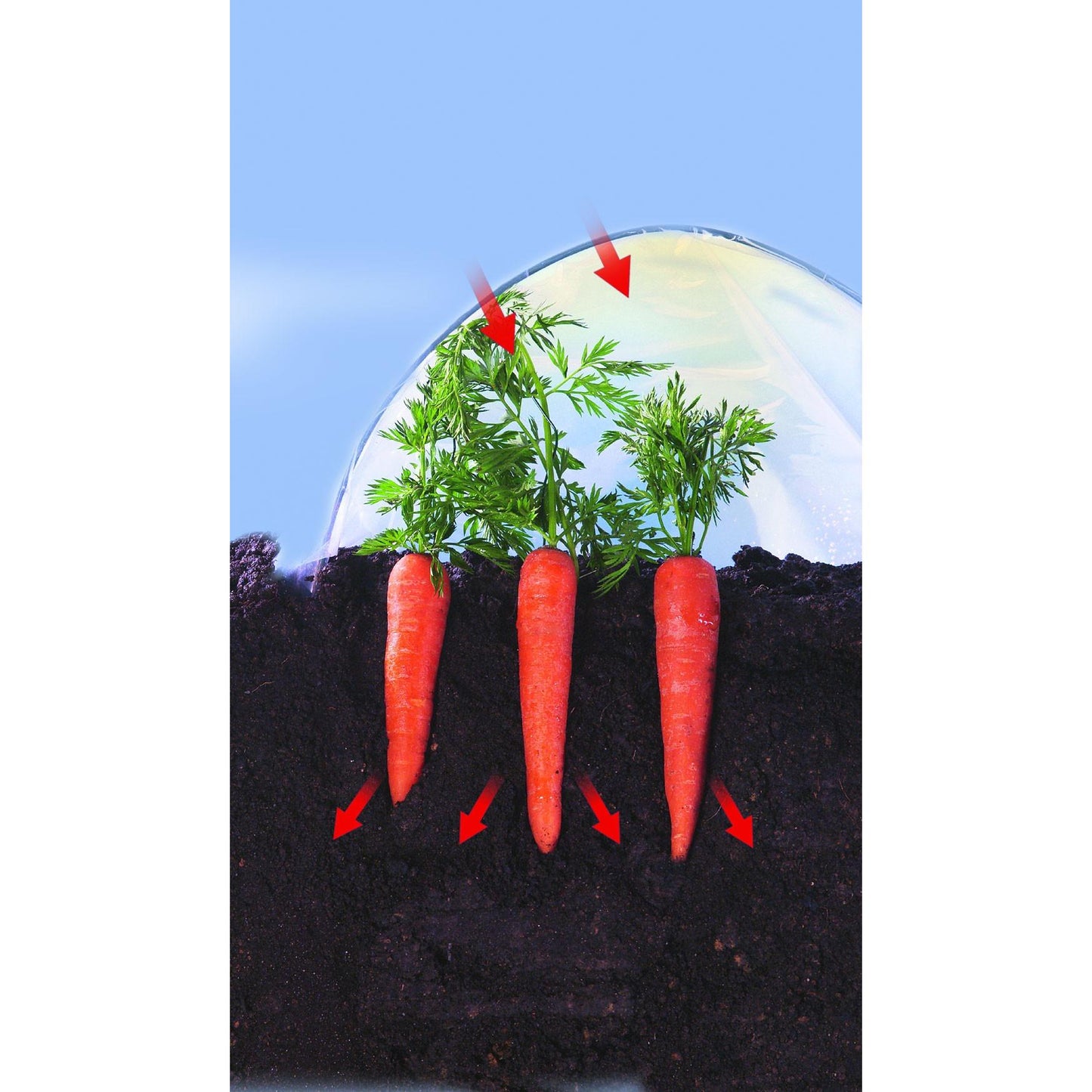 Film de cultivo verduras tempranas Climafilm Nortene 2 x 10 m