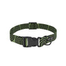 Cafide Collar De Material Pet Reciclado Verde. Modelo Juno.