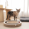 Juguete Interactivo Rascador Para Gatos