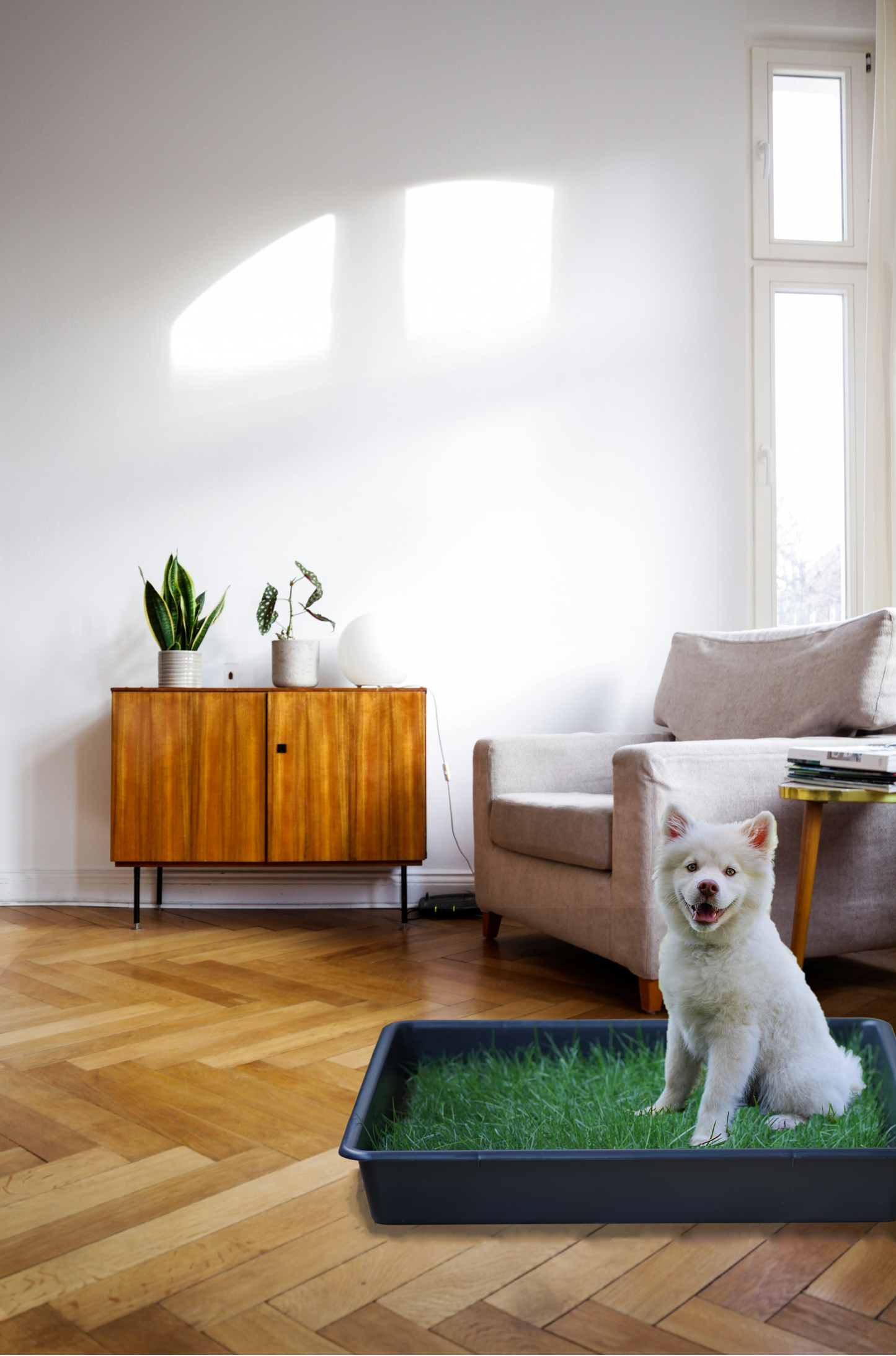 Petground, Cama Para Perros, Empapador, Alfombra Olfativa, Césped Natural, XXL_5