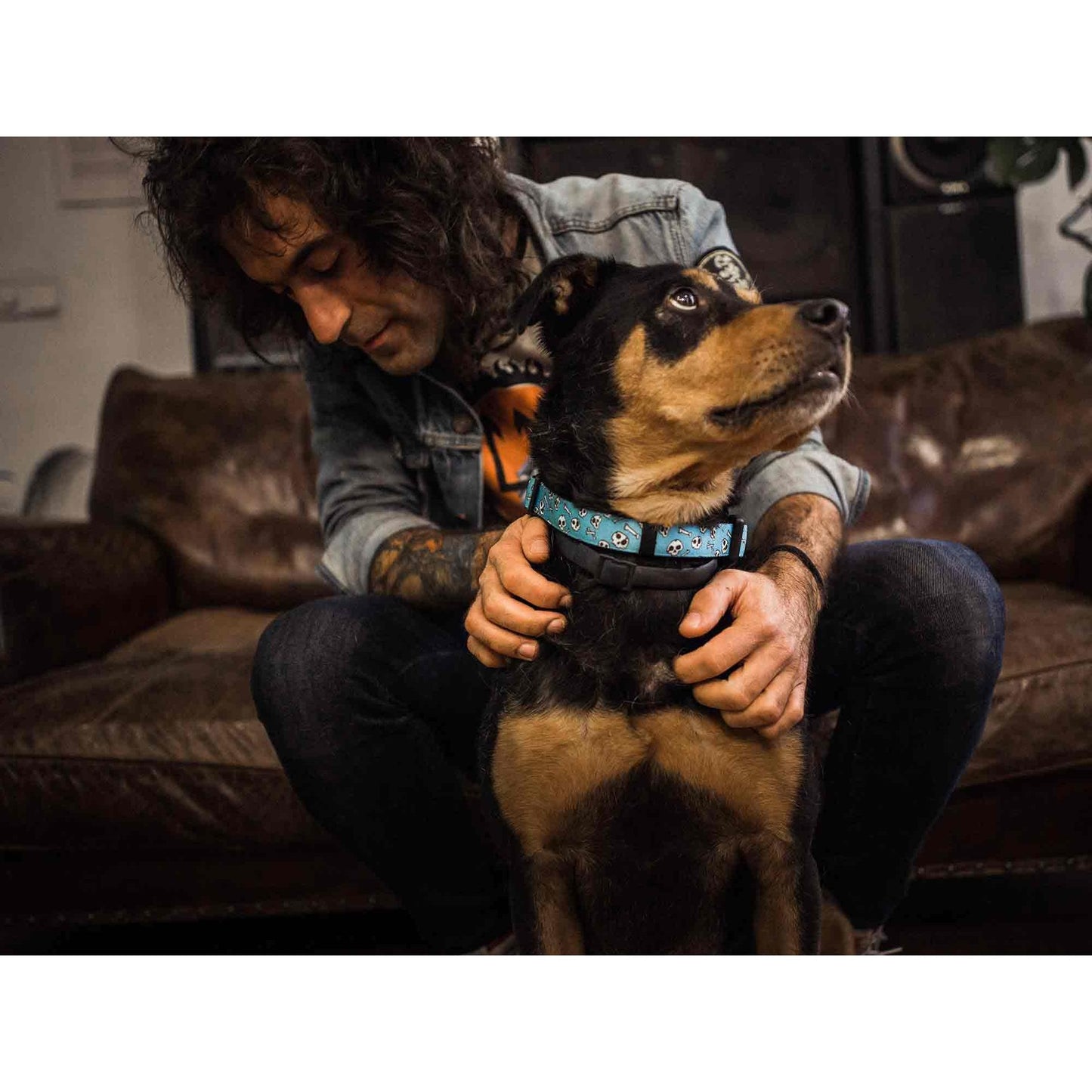 Collar para perro SKULLS Dukier XS