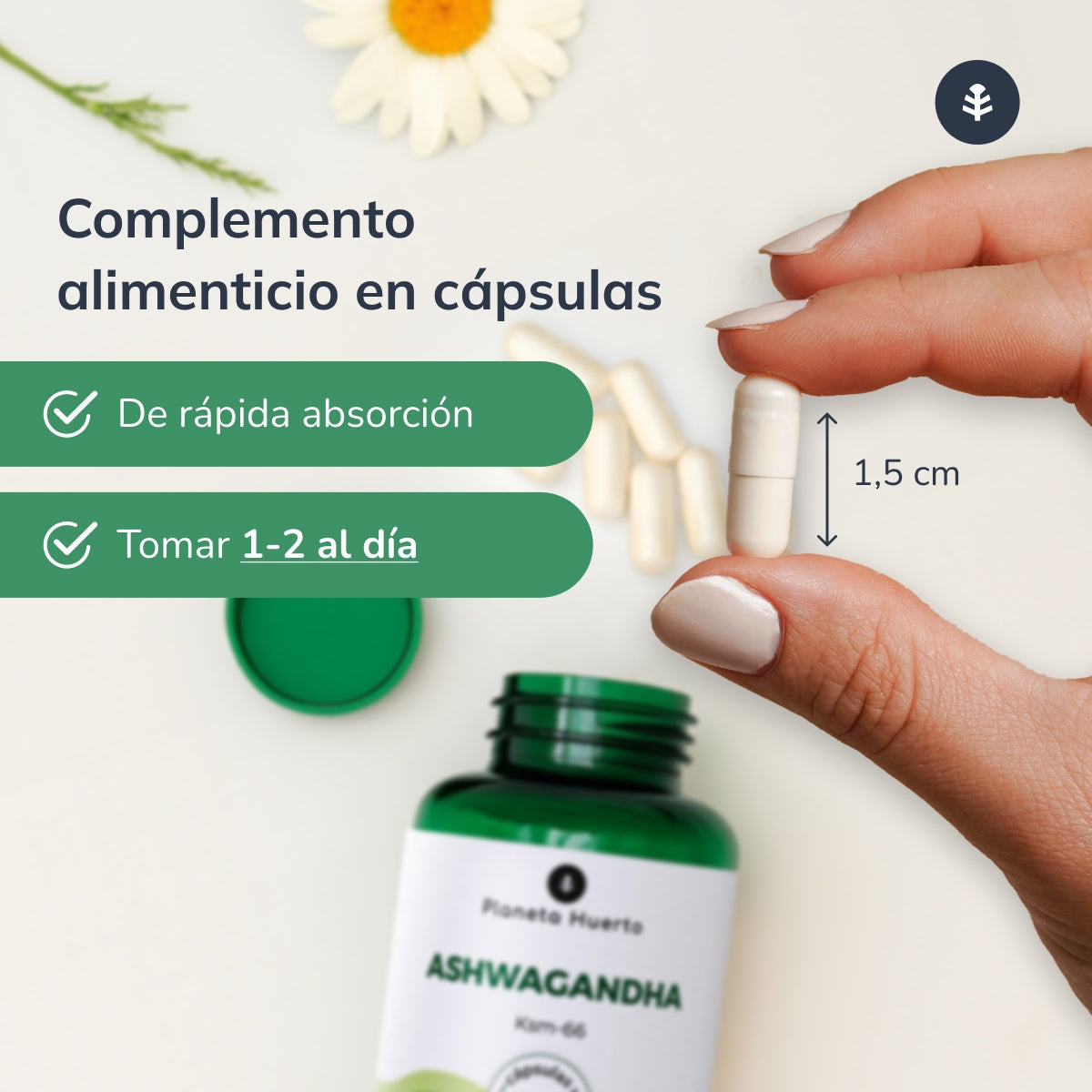 Ashwagandha KSM-66 Planeta Huerto 60 cápsulas