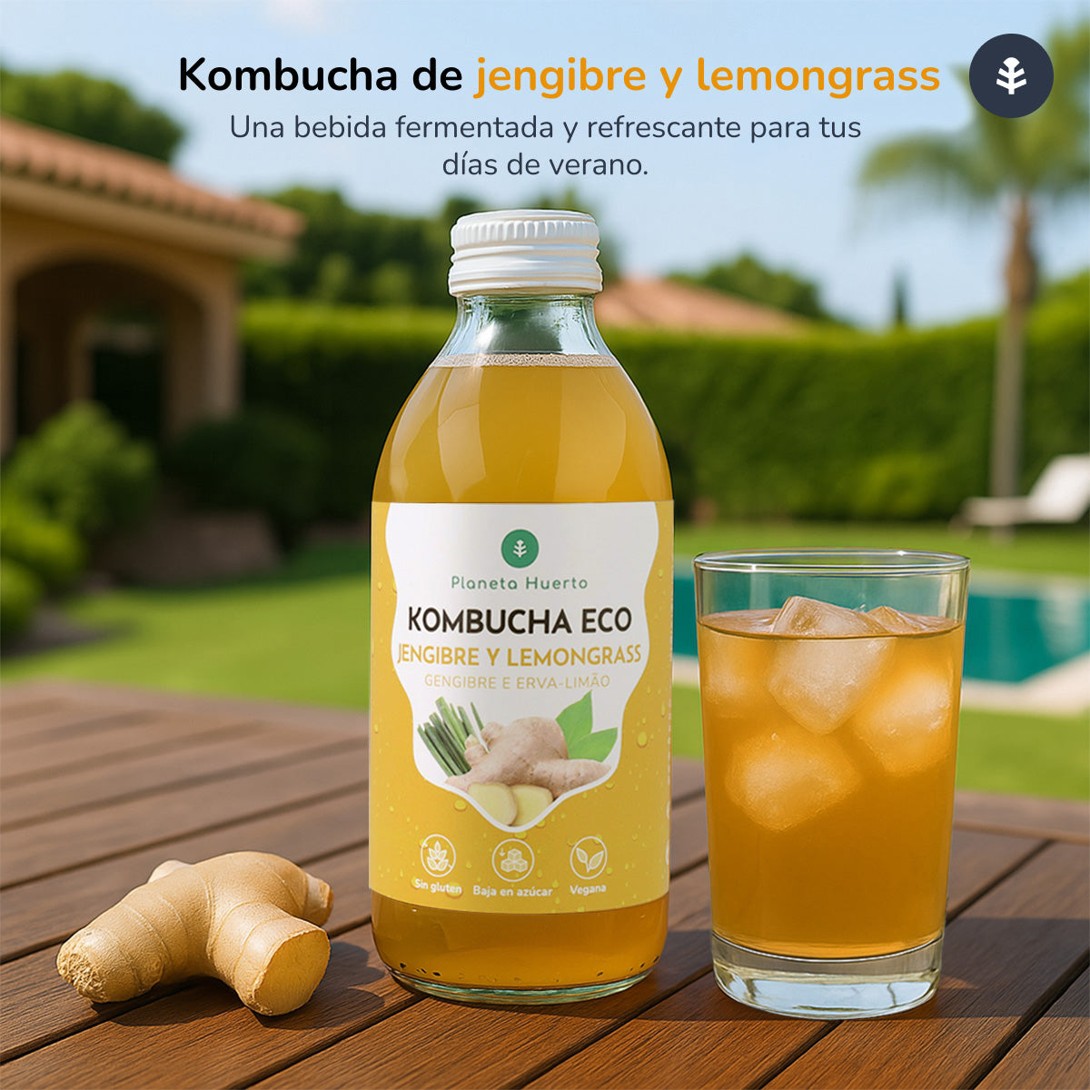Kombucha ECO Jengibre y lemongrass Planeta Huerto 330 ml