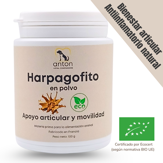 Suplemento natural para perros y gatos – Harpagofito ECO - 100g