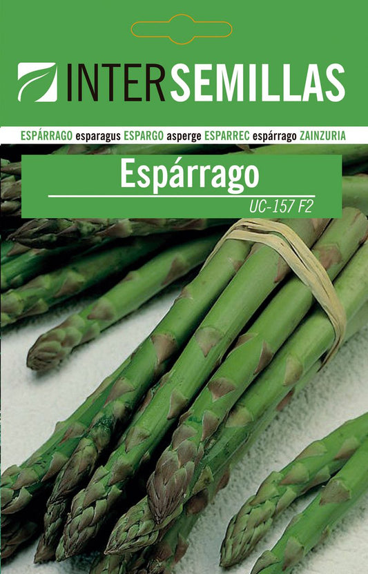 Sobre De Semillas De Esparragos Uc
