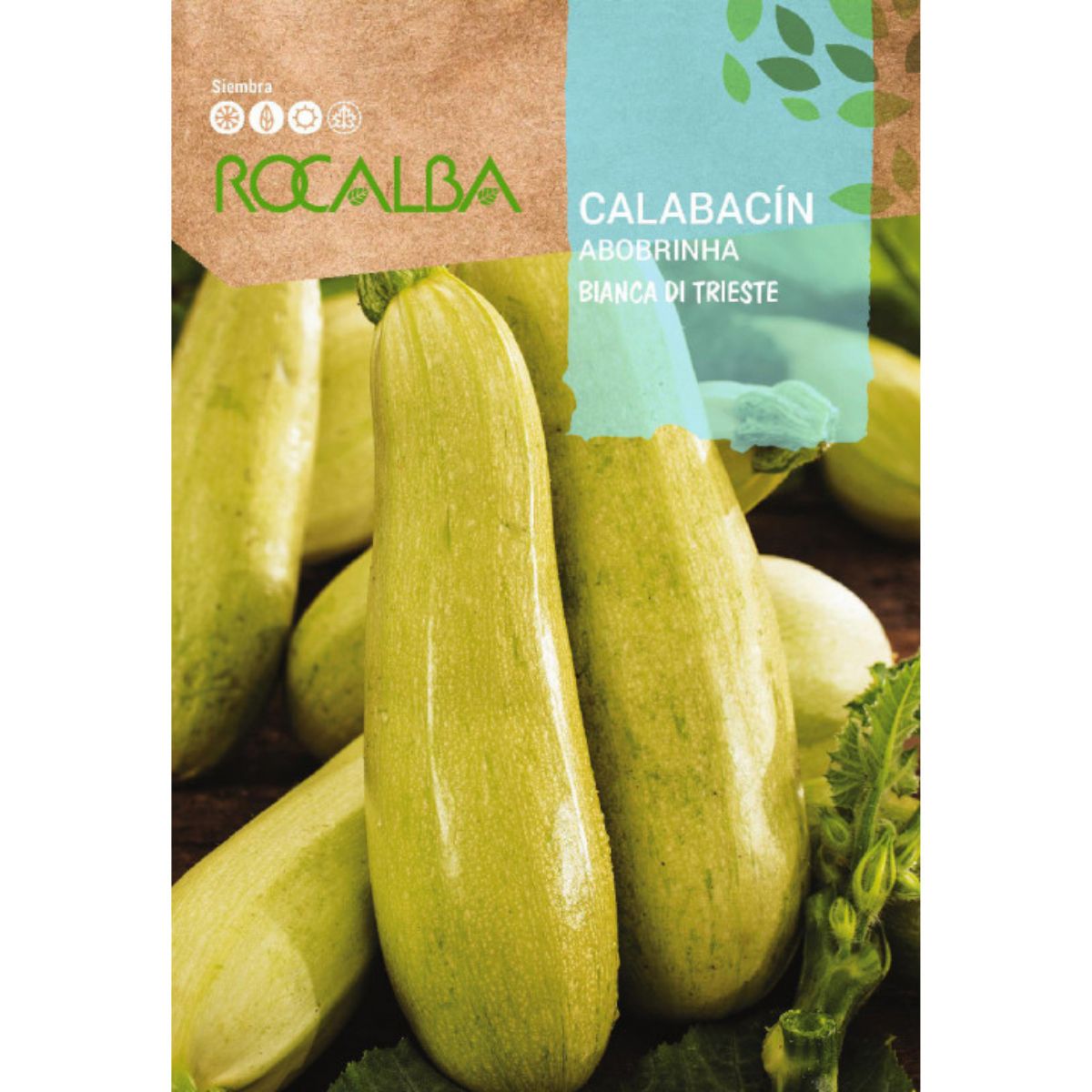 Semillas de Calabacín bianca di trieste