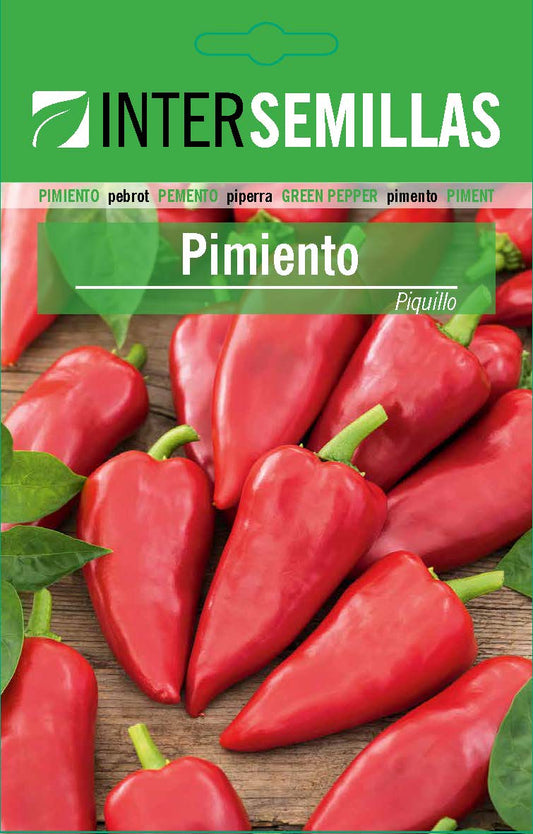 Sobre De Semillas De Pimiento Del Piquillo