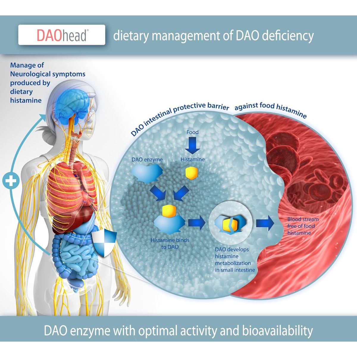DAOhead® 60 cápsulas con comprimidos gastrorresistentes
