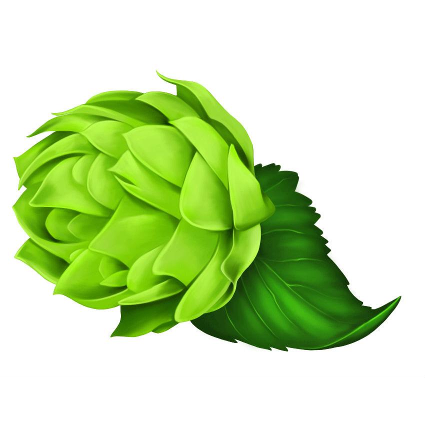 Champú volumen Miel y Cerveza 250 ml