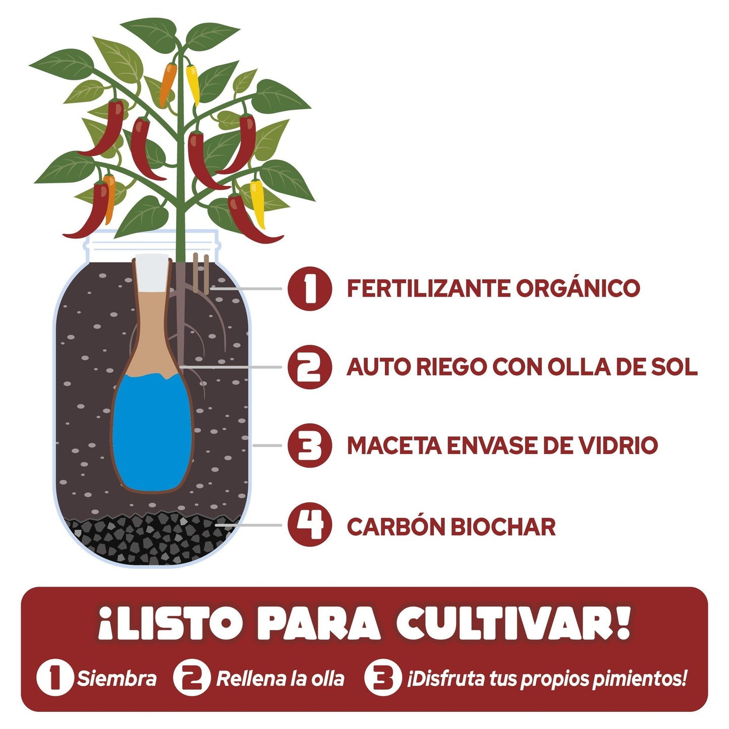 Kit de cultivo interior Pimientos Snack