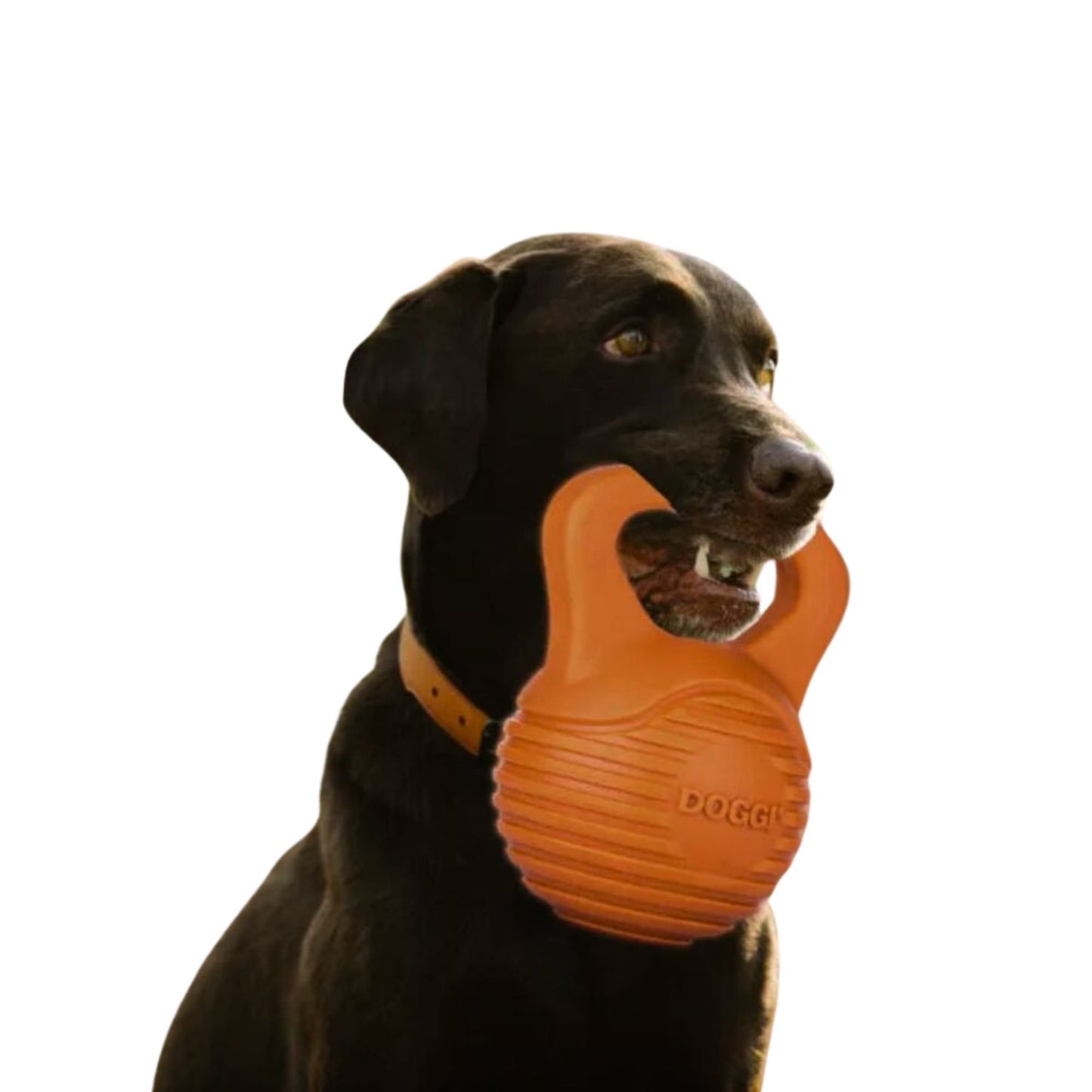 Juguete Para Perro Doggi Dumbell Talla L 26x22x15,5 Cm