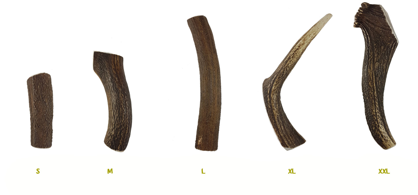 Bimordiscos Asta De Ciervo Partida Para Perros.