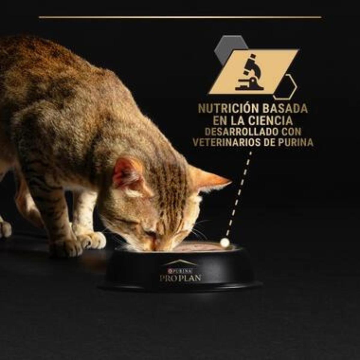 Pro Plan Gato Senior 7+ Longevis Mousse con atún Purina 85 g