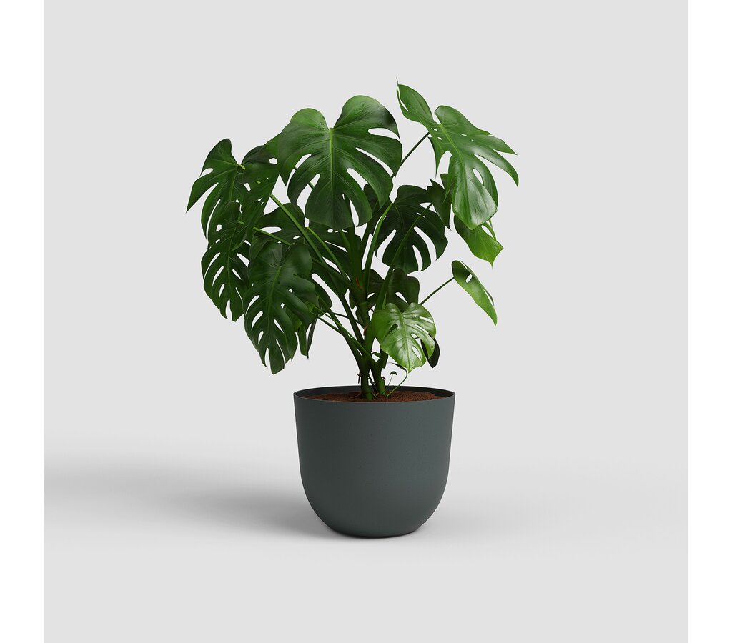 Artevasi  Macetero Havana Natural Antracita 50cm