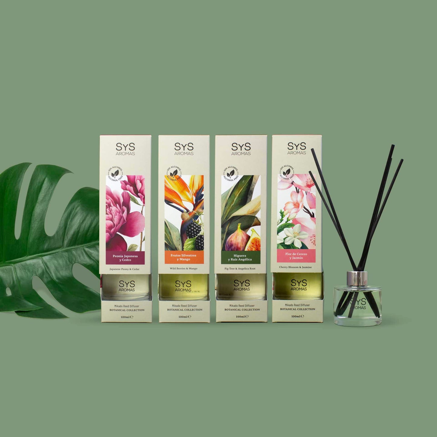 Sys Aromas Ambientador Mikado Higuera Y Raíz Angélica - Botanical - Sin Alcohol - Larga Duración - 100 Ml Con 5 Varillas_3