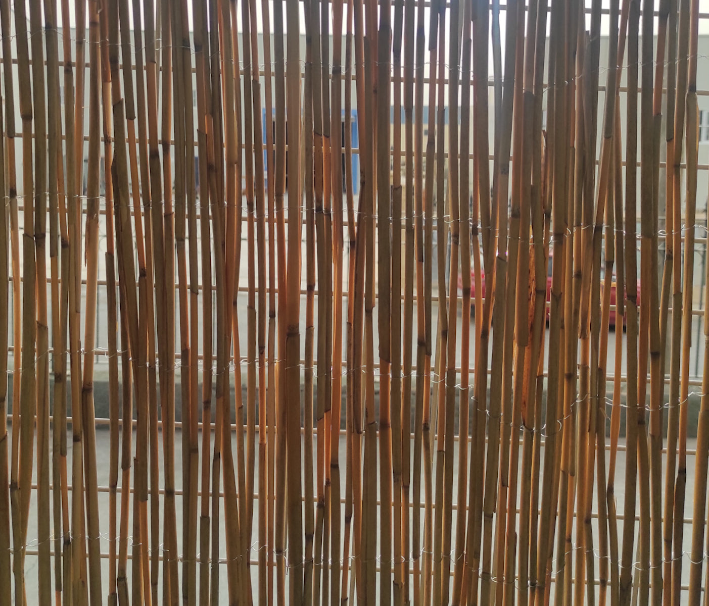 Bambú Natural| Composicion 100% Caña De Bambu| Cerramiento Natural| Cañas Cosidas Con Alambre| Ocultación 60% 1x3m_3