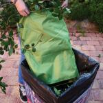 Delantal recolección