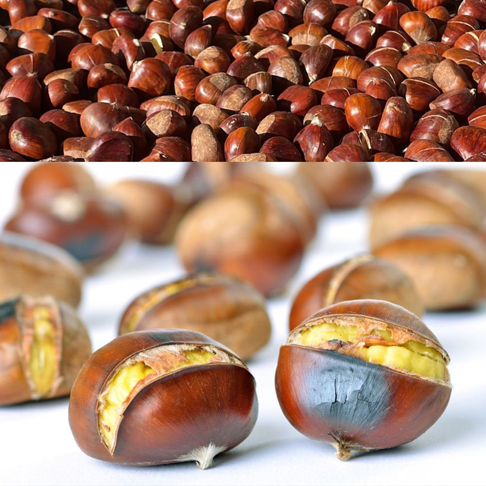 Castañas Del Bierzo. Caja 10 Kg_0