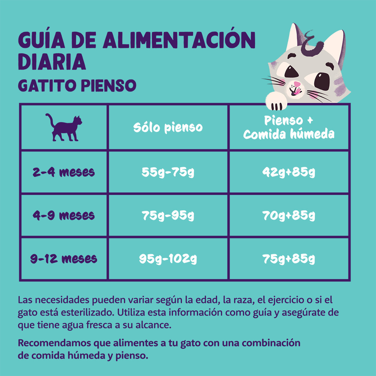 Pienso para gatos Kitten Pato y Pollo frescos Edgard & Cooper 2 Kg