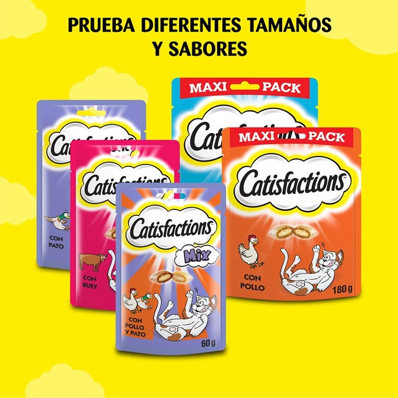 Catisfactions Premios con salmón para gatos 60 g