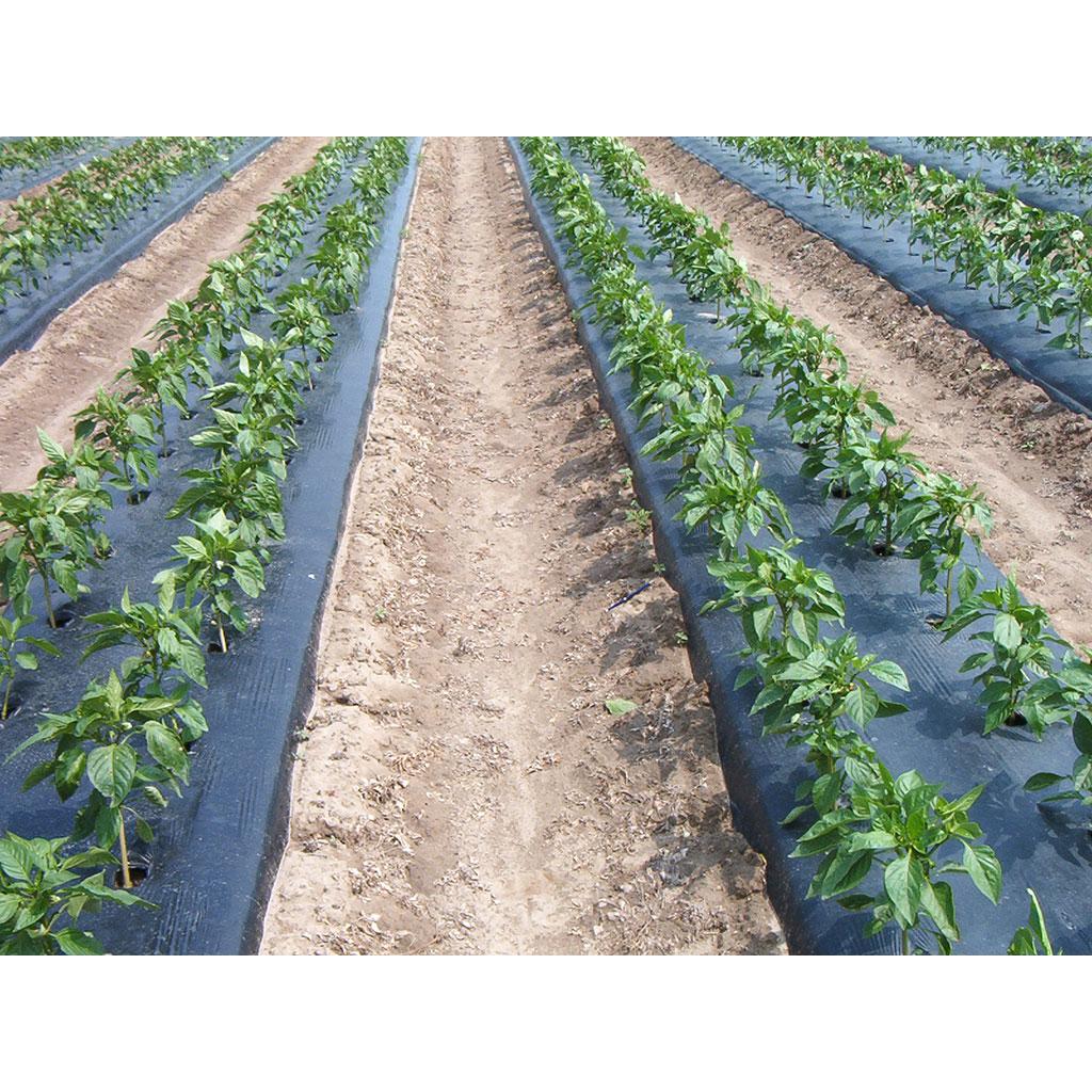 Film microperforado 1,4 x 10 m Faura