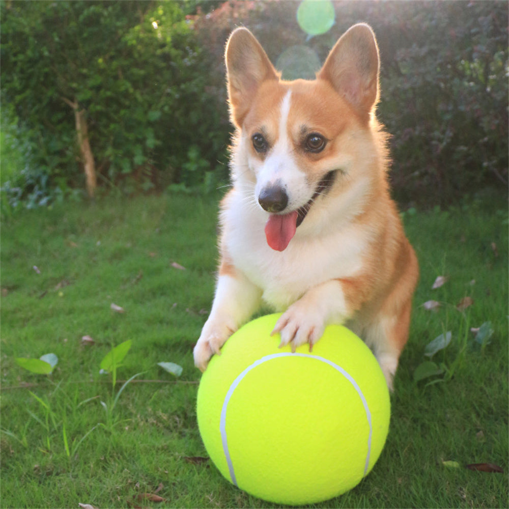 Pelota De Tenis Gigante Intimeg De 9.5 Para Perros_1