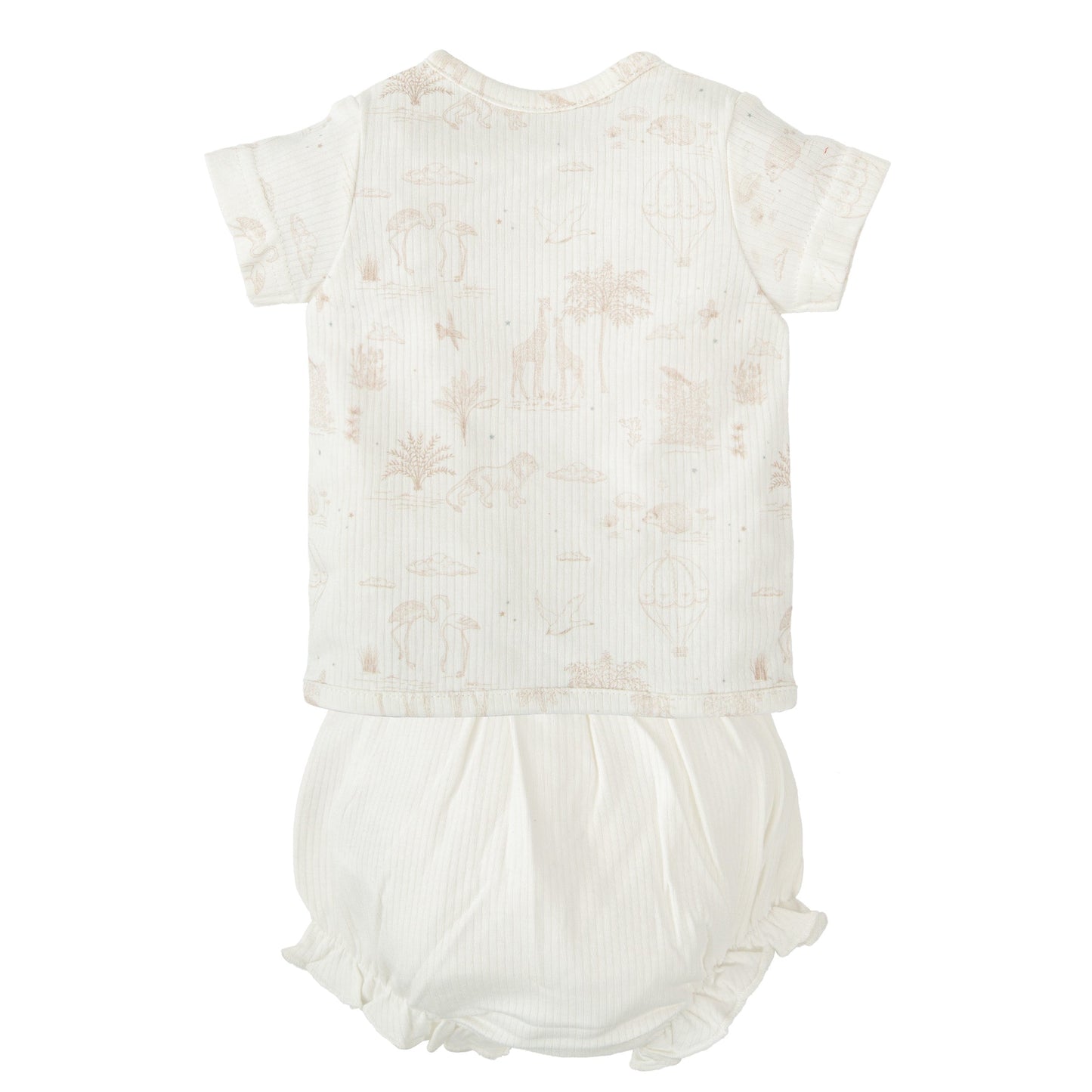 Noe Conjunto Jubón Y Ranita Primera Puesta