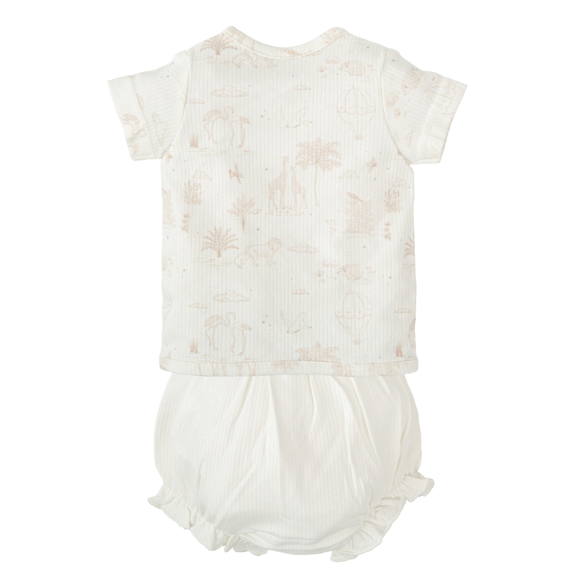 Noe Conjunto Jubón Y Ranita Primera Puesta