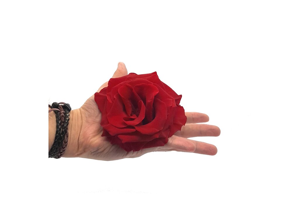Mundo Eterno Rosa Preservada Abierta Roja 10cm