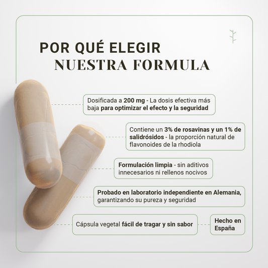 Rhodiola rosea 200mg nullure – estrés, estado de ánimo, energía y reducción del cansancio (120 cápsulas)