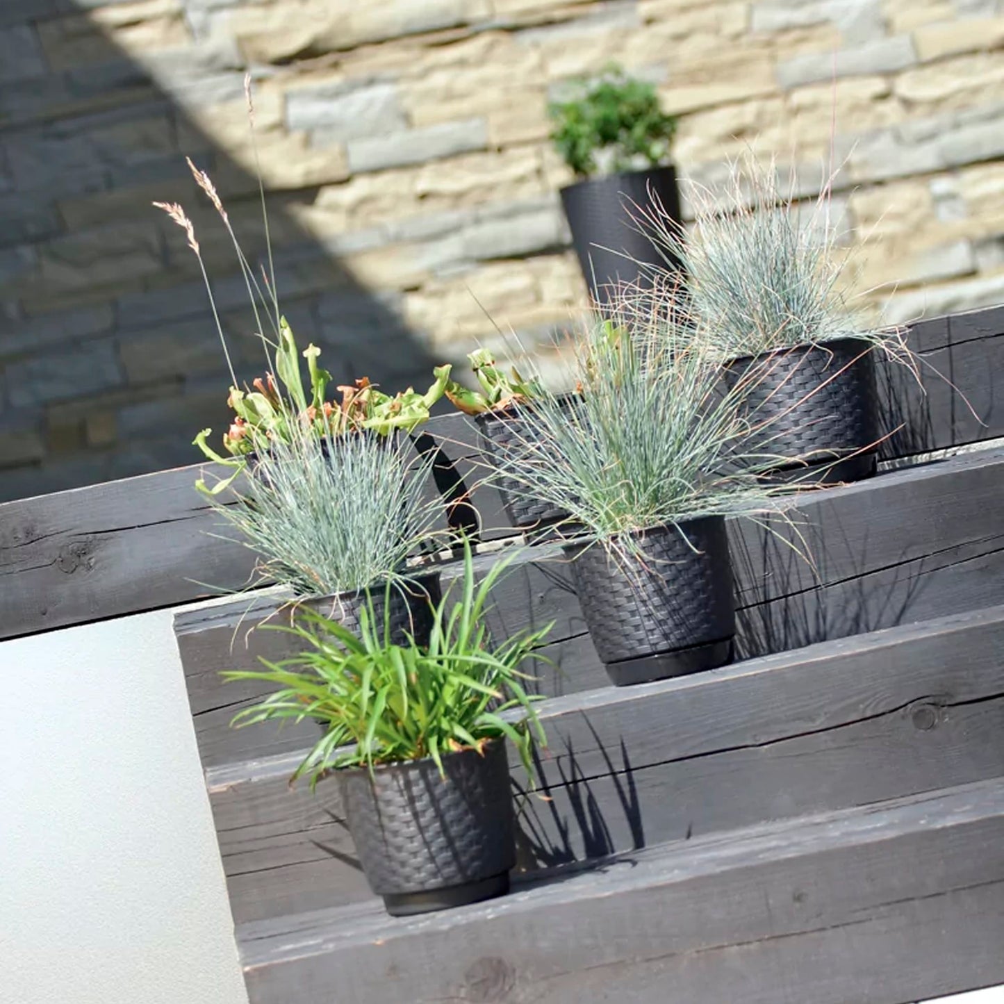 Maceta Ratolla Round 2,8l., Dimensiones (mm) 190x190x165, Color Antracita_5