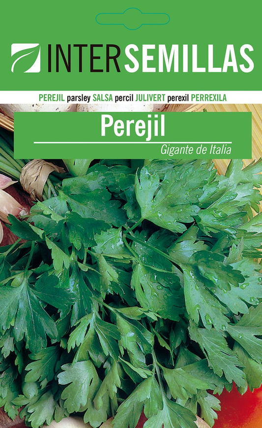 Sobre De Semillas De Perejil Gigante
