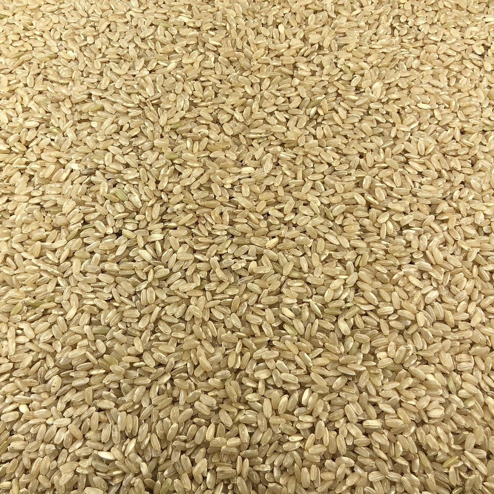 Arroz Integral Ecológico Granel 25 Kg_2