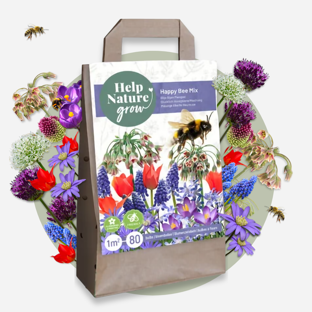 Mezcla De Bulbos De Flor - 80 Pzs - Bulbos De Flores