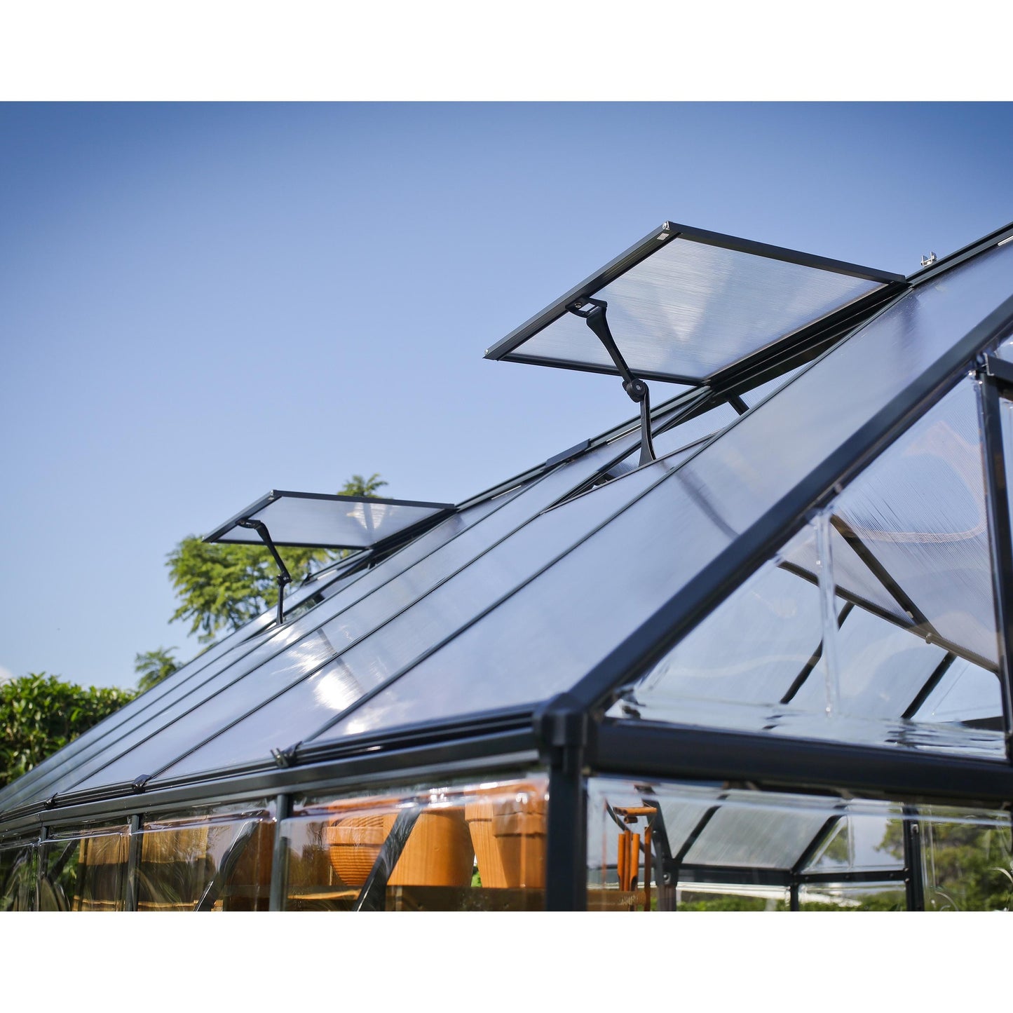 Invernadero Victory Orangery Canopia