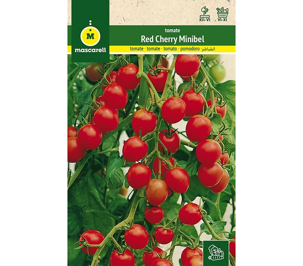 Semillas Tomate Red Cherry (minbel)_0