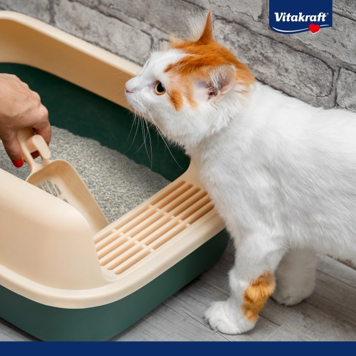 Vitakraft Compact Ultra Arena aglomerante 4 L