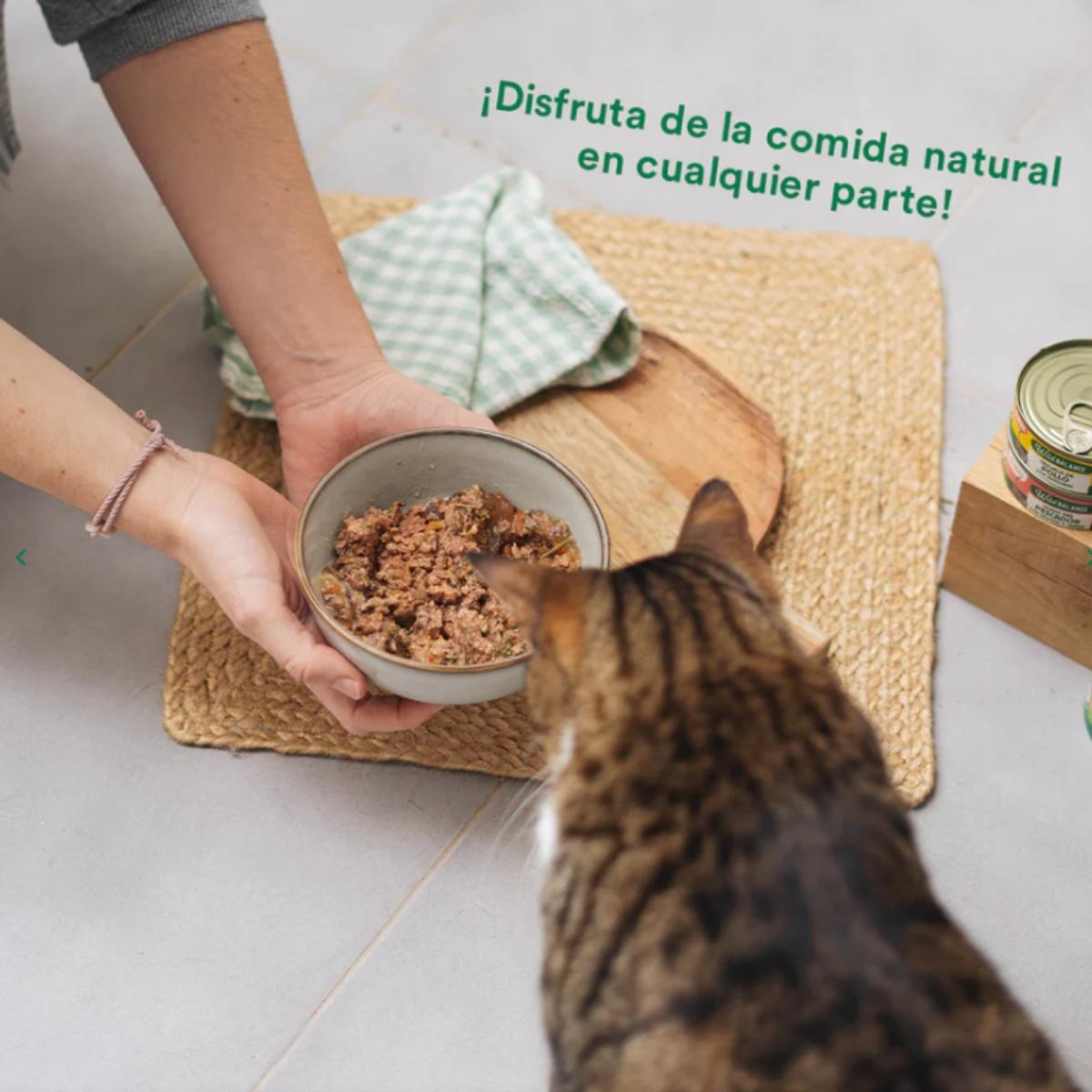 Pack 6x Estofado de mercado con pavo y ternera para gatos 80 g + Regalo: Tapa reutilizable para latas, Wild Balance