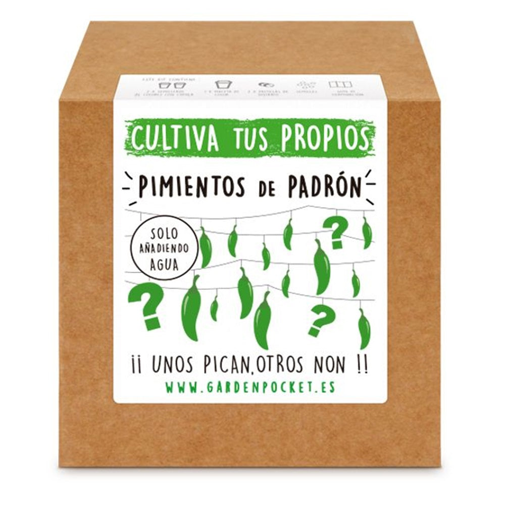 Kit de autocultivo Pimientos de Padrón Planeta Huerto
