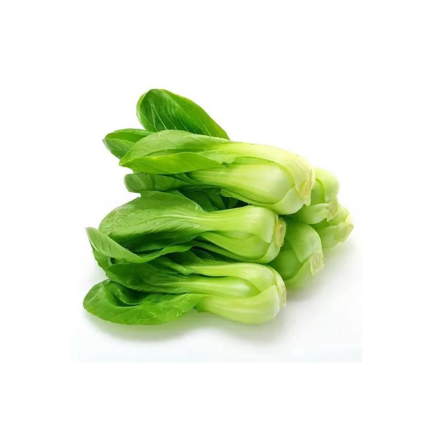 Plantón de Pack Choi 6 uds. Gama Tradicional
