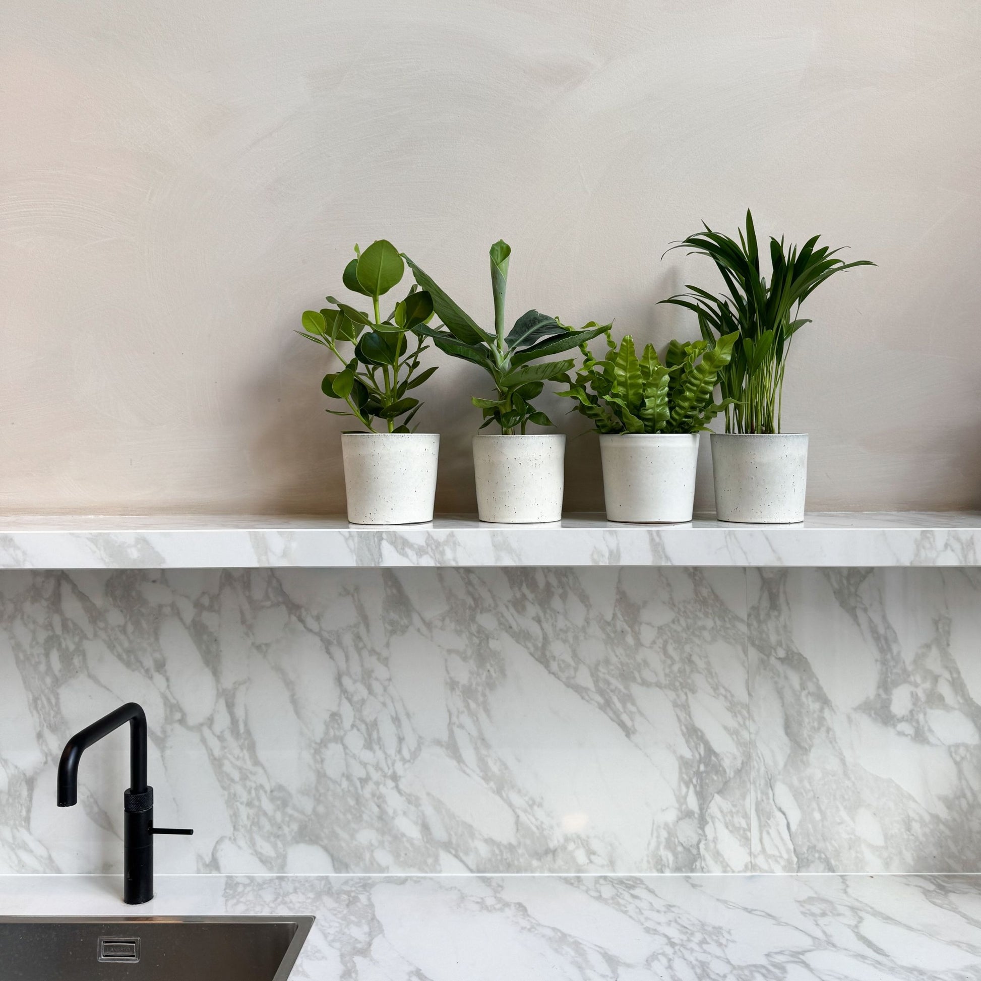 Plantas De Interior 'cuarteto Verde' - 4 Pzs - Altura 25-40cm - ⌀12cm