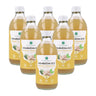 Pack 6x Kombucha ECO Jengibre y lemongrass Planeta Huerto 330 ml