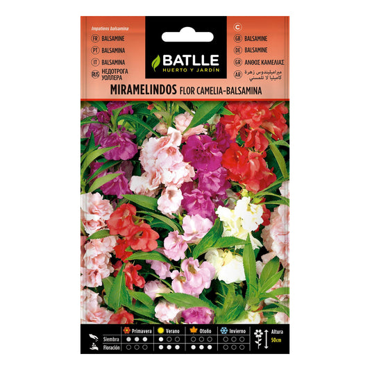 Semillas de Miramelindos flor Camelia Balsamia Batlle