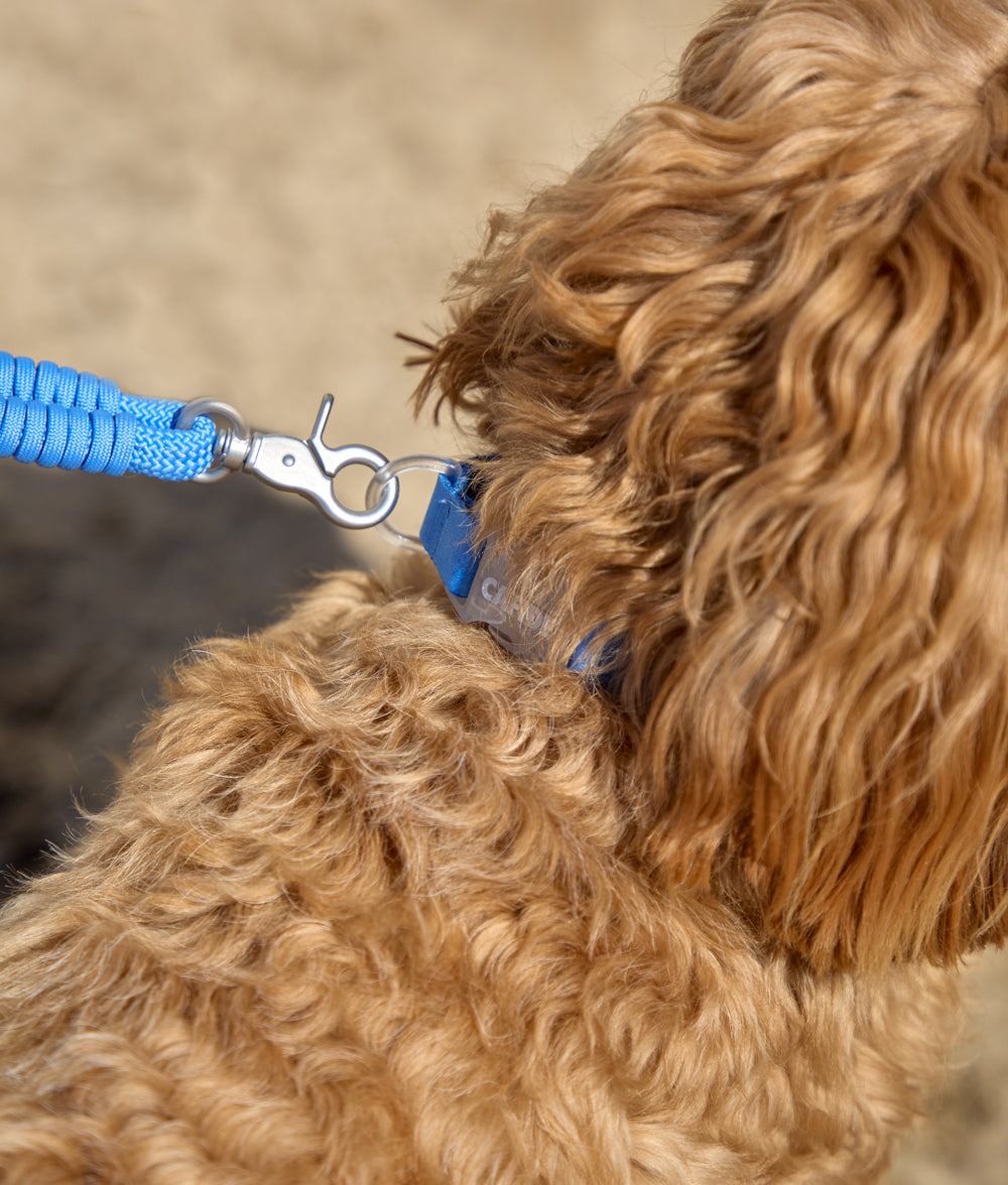 Cafide Collar De Material Reciclado Azul. Modelo Ona.