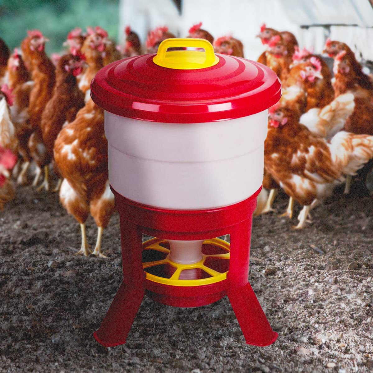 Tolva Gallinas Silo Premium 40 L - Comedero Grande Con Patas Para Aves De Corral - Tolva De Gran Capacidad Para Gallinas_4
