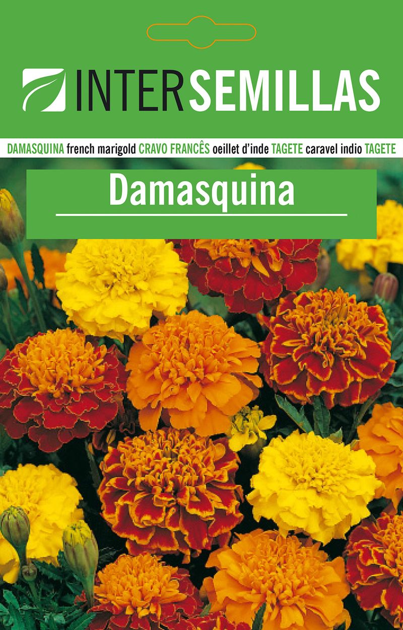 Sobre De Semillas De Damasquina_0